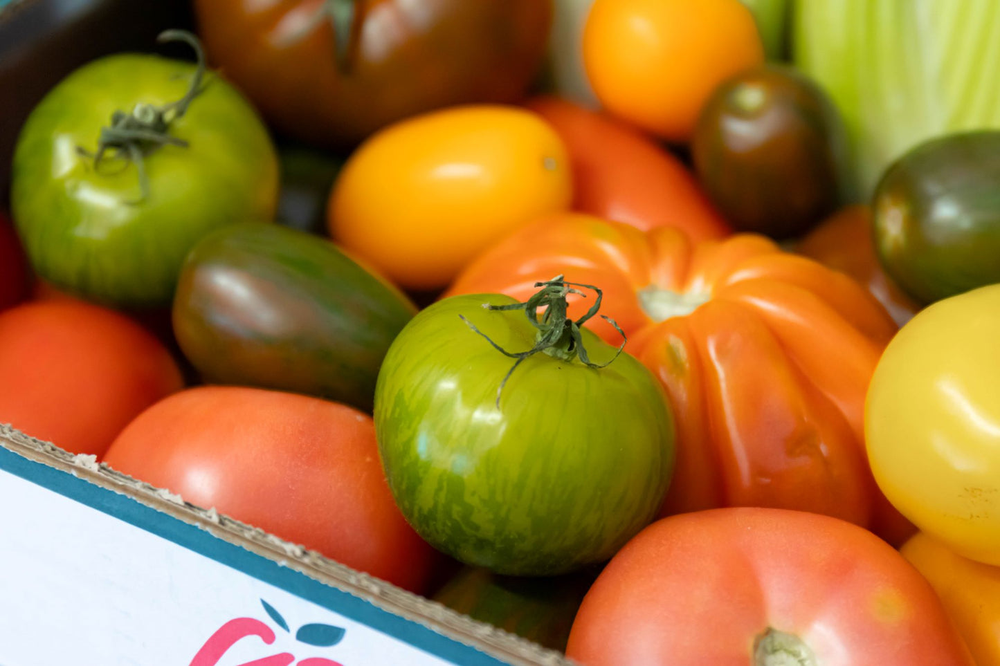 Heritage Tomatoes