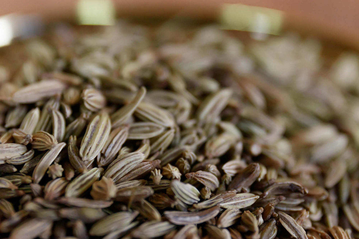 Fennel Seeds